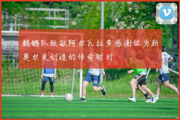 鹈鹕队致敬阿尔瓦拉多感谢你为新奥尔良创造的传奇时刻